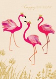 Flamingi