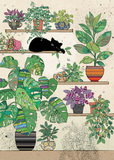 Plants Kitty