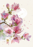 Magnolia