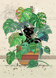 Kot monstera