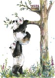 Pandy białe