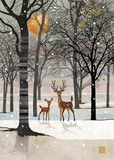 Forest Deer