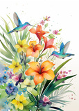 Lily kolibry