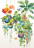 Hanging Plants